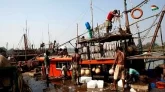 পশ্চিমবঙ্গে সাগরে ইলিশ ধরায় ব্যস্ত মৎস্যজীবীরা