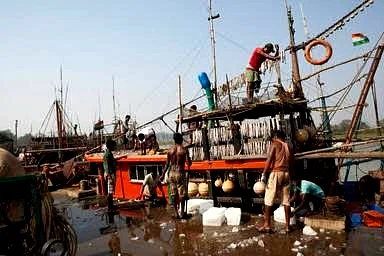 পশ্চিমবঙ্গে সাগরে ইলিশ ধরায় ব্যস্ত মৎস্যজীবীরা