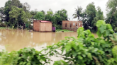 মাধবপুরে ডুবেছে বাড়িঘর, ফসলের ব্যাপক ক্ষ তি