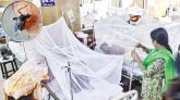 ডেঙ্গুতে আরো দুই জনের মৃত্যু, হাসপাতালে ২০৪