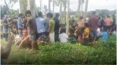 জলপাইগুড়ি সীমান্তে ১২০০ বাংলাদেশি আটক
