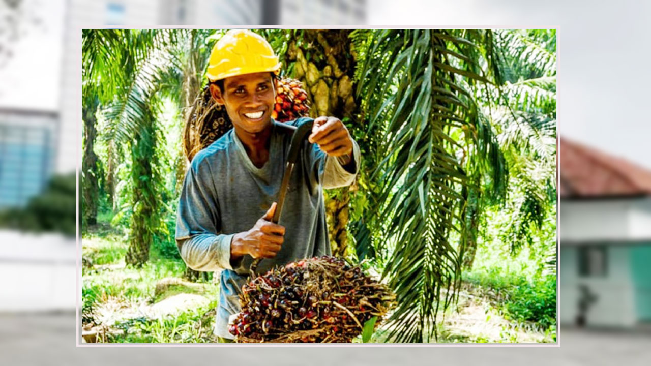 ফের চালু হলো মালয়েশিয়ার শ্রমবাজার