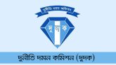 বিদ্যুৎকেন্দ্রের ১৭ কোটি টাকার ক্যাবল হাওয়া, আসামি এমডিসহ ৬