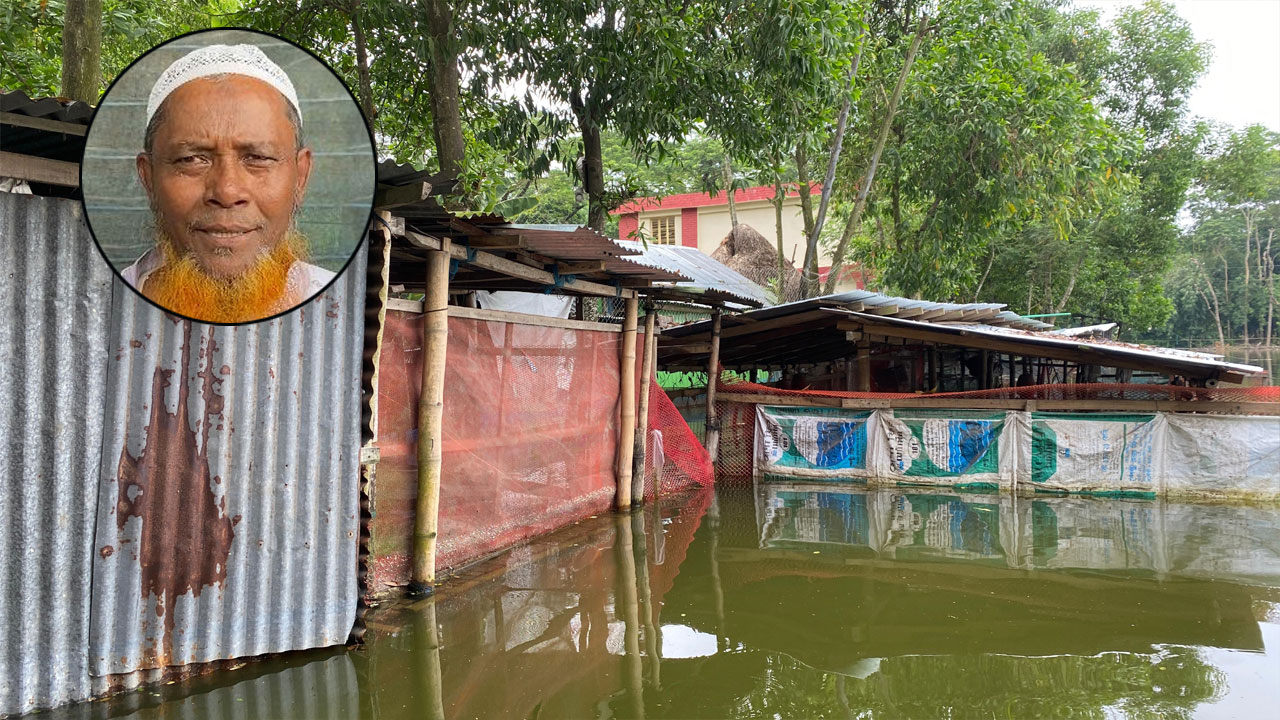 বন্যায় ঘেরের ২ কোটি টাকার মাছ ভেসে গিয়ে পাগলপ্রায় আলী মিয়া