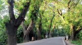 যশোর রোড দ্রুত সম্প্রসারণের আবেদন বিজেপির