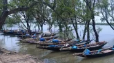 সুন্দরবনে প্রবেশের অনুমতিপত্র নবায়নে রাজস্বের চেয়ে ৪০ গুণ ঘুষ আদায়