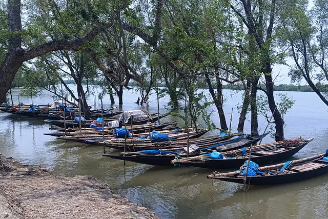 সুন্দরবনে প্রবেশের অনুমতিপত্র নবায়নে রাজস্বের চেয়ে ৪০ গুণ ঘুষ আদায়