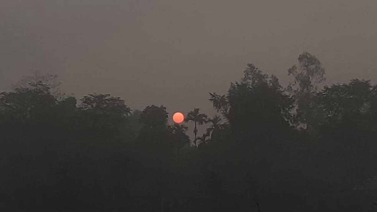 রাতের তাপমাত্রা কমবে ১-২ ডিগ্রি সেলসিয়াস, বাড়বে দিনের